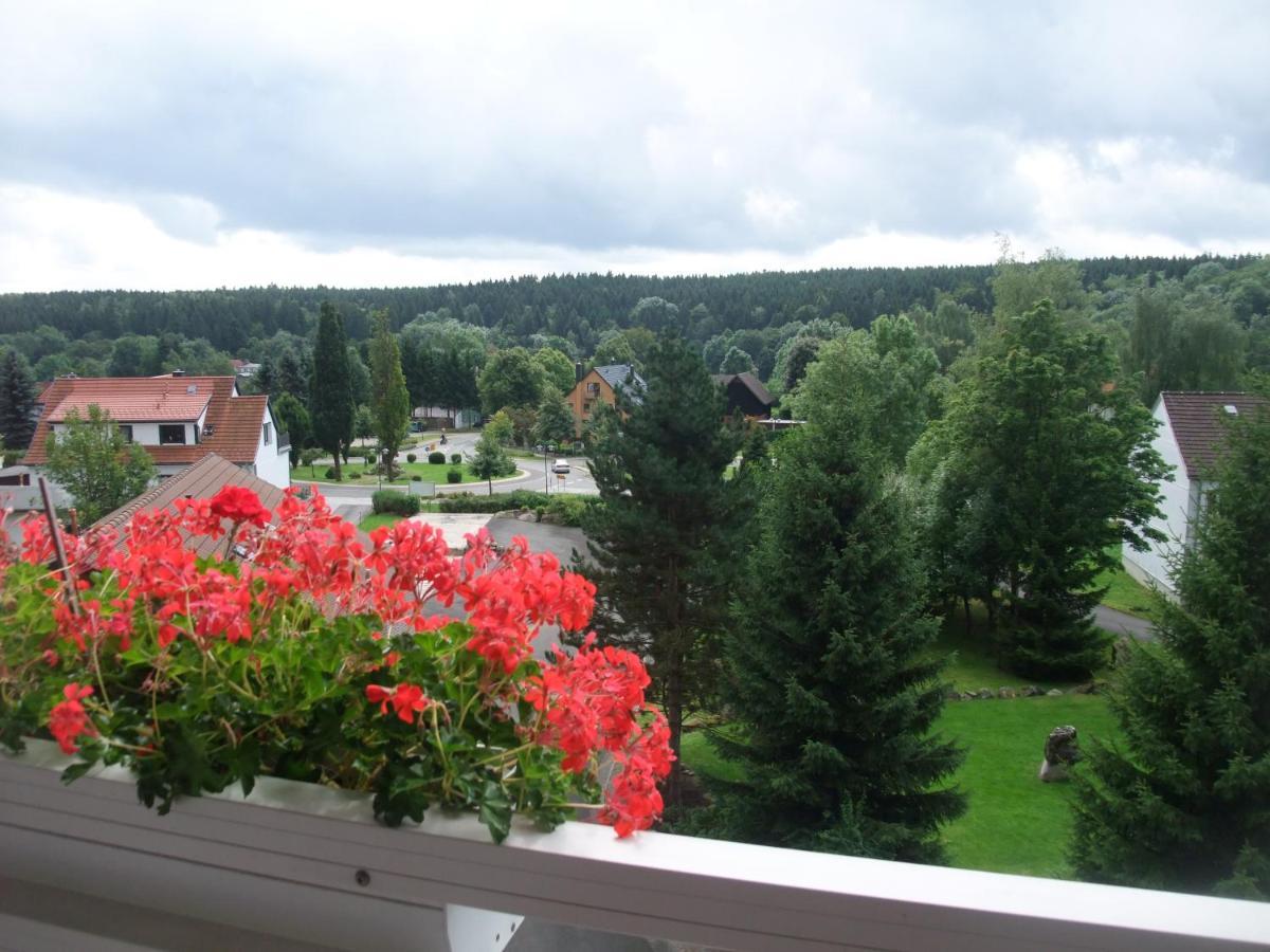 Ferienhaus Hubertus In Elend Mit Balkons Екстер'єр фото